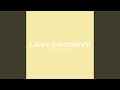 Last Goodbye