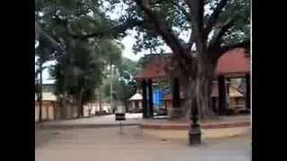 Temple video