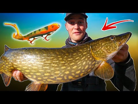 ICE OUT In The River - Catching GROSSE HECHT | Team Galant