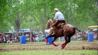 preview picture of video 'Prueba de Riendas Las Flores 2011 - PARTE 3/3'