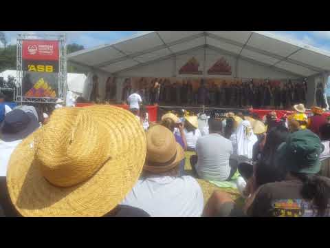 Auckland Girls Grammar Niue stage 2019