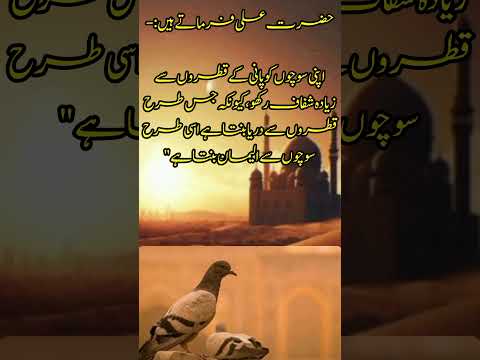 Mudassir voice.#poetry #islamicart #quotes #sadpoetry #challengevideo #...