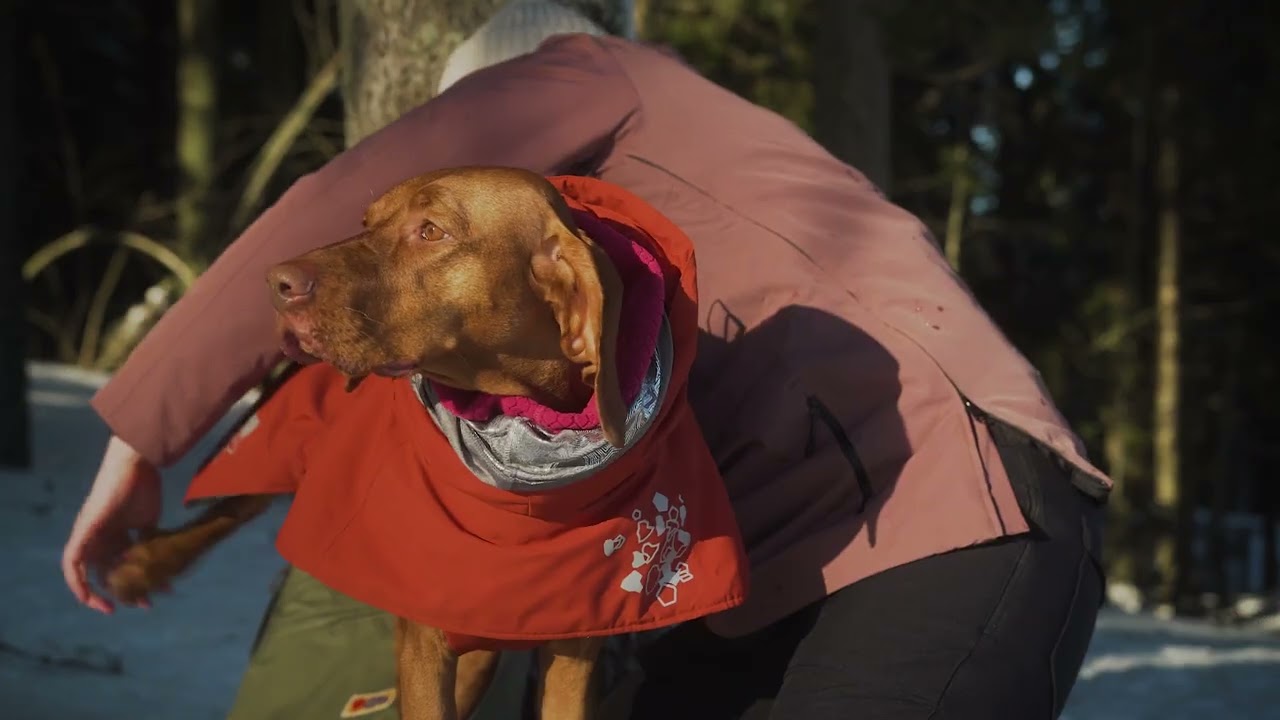 HURTTA Pullover Razzle-Dazzle Midlayer, 35, Dunkelgrau HURTTA Pullover Razzle-Dazzle Midlayer, 35, Dunkelgrau