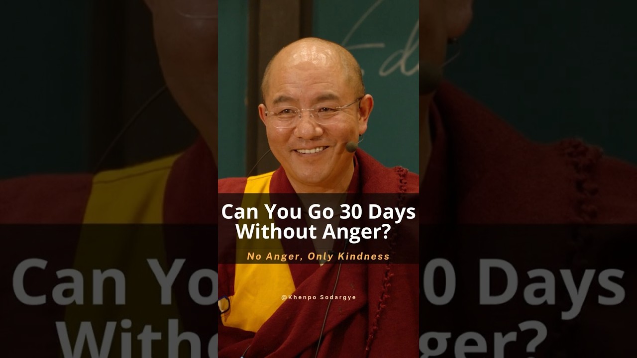 You Don't Need to Save the World, Just Don't Yell at Your Family | 你不需要拯救世界，只需要别对家人大吼大叫