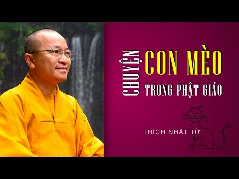 Chuyện con mèo trong Phật giáo (03 &amp;amp; 04/02/2011)