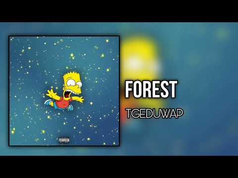 TGEDuwap - Forest (prod. iayze)