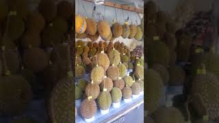 preview picture of video 'Durian mantap tanjung sari sumedang'