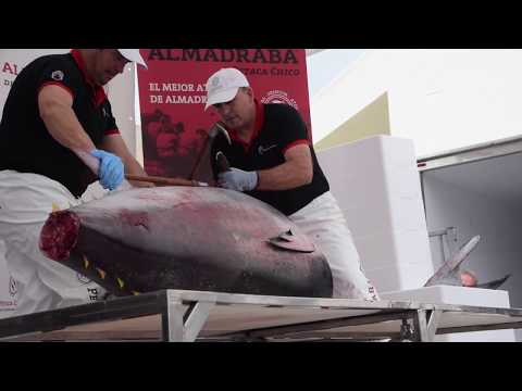Ronqueo del Atún en Conil 2018