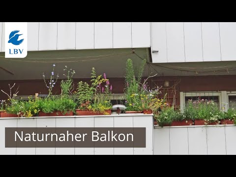 , title : 'Naturnaher Balkon - Inspirationen für Dich'