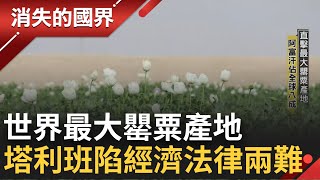 [問卦] 台灣全面廢農會怎麼樣？