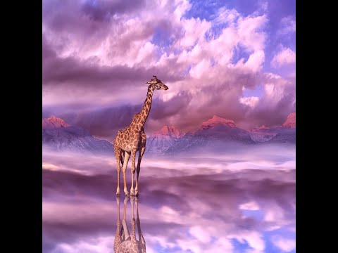 Geld verdienen mit den eigenen Fotos.