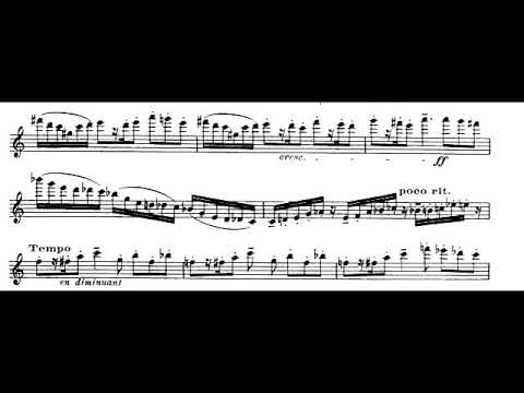 download lagu mp3 mp4 Honegger Danse De La Chevre, download lagu Honegger Danse De La Chevre gratis, unduh video klip Honegger Danse De La Chevre