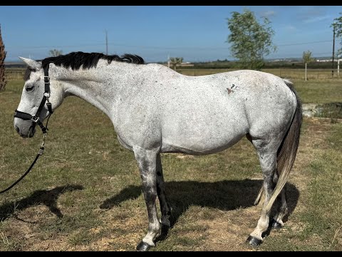 Frivole du Soir ULMAR MAIL x SAGACITY - Video 3 video thumbnail