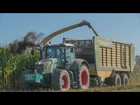 Emisja Spalin 101% | Bardzo Dobra Robota z UR BLEJK! Kukurydza Na Kiszonkę 2020! [4xFendt, 3xKrone]
