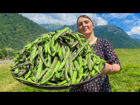 I Harvested a Huge Bowl of Beans for This Recipe! A vitamin boost for the whole day