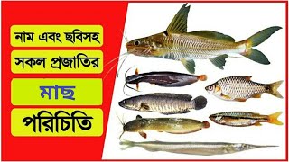 দেশীিয় প্রজাতির মাছ এবং শামুক প্রকল্প ভিডিও