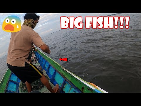 Adu Kuat Tarik Tambang Versus Ikan Besar Metode Rawai Terpanjang #251