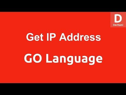 GO Programming Get IP of Website