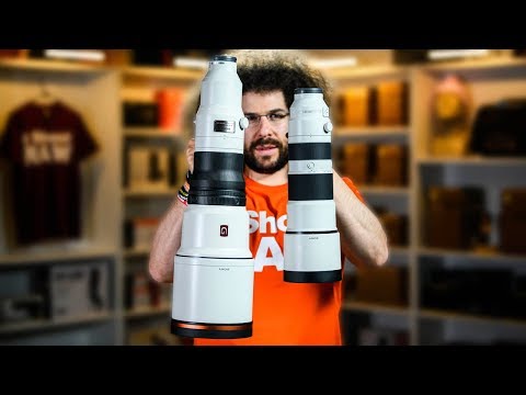 Sony 600mm f4 vs Sony 200-600mm | Is it ACTUALLY Worth $10,000 MORE???