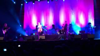 Cardigans - You&#39;re the Storm