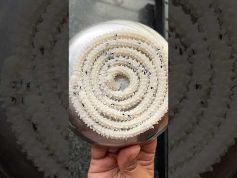 तांदळाची चकली #tandalachichkli #dominospizza ​⁠@DominosPizzaIndia #shortsviral #shortsfeed