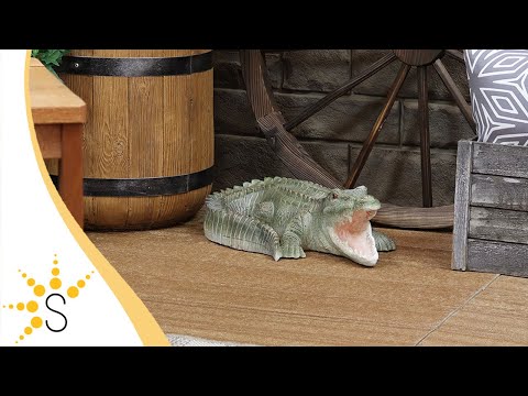 Product Video Thumbnail