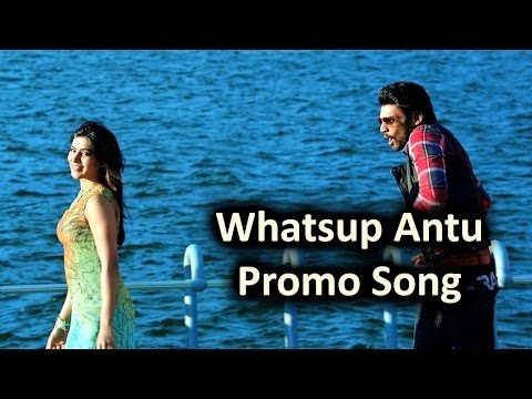 Whatsup Antu Promo Video Song || Alludu Seenu Movie || Sai Srinivas,Samantha