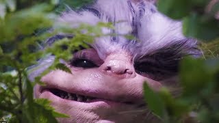 Critters Attack! (2019) Video