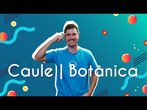 Stem | Botany - Brazil School