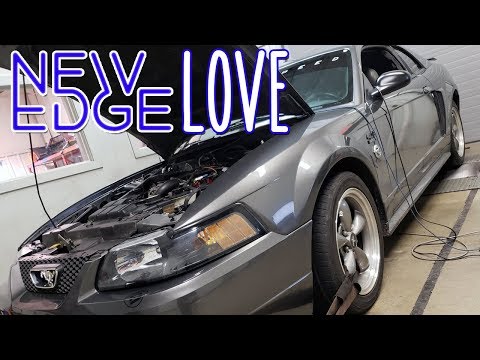 2004 Mustang GT dyno with cams and bolt on parts NEW EDGE LOVE