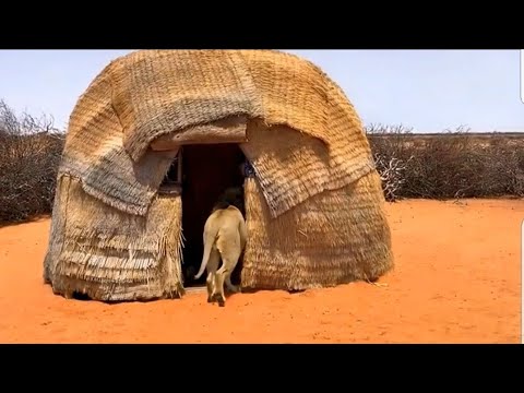 LIBAAX AYAA SI KADIS AH UGU SOOGALAY AQALKA REERKAN (Sheeko aad unaxdin Badan)