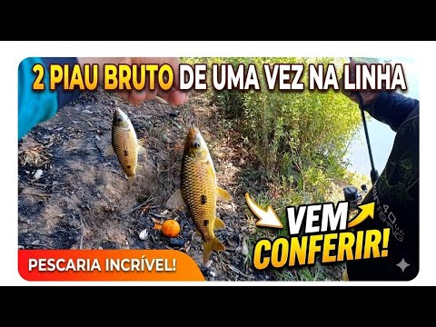 INACREDITÁVEL! 2 PIAU BRUTO DE UMA VEZ SÓ NA LINHA! (Rio Pará - MG)