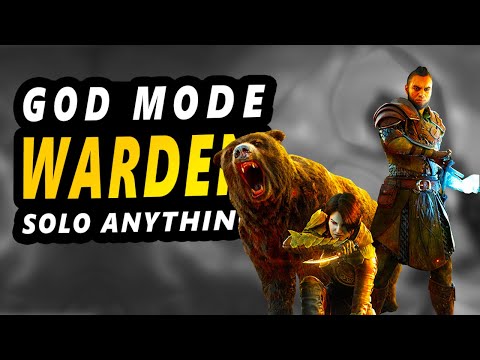 Solo Stamina Warden is still one of the strongest solo classes in the game - Blackwood