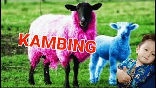 Download lagu Nama dan Suara Hewan Ternak | Suara Binatang Animasi | Pembelajaran Anak anak#KENZO M2M mp3 Download lagu Nama dan Suara Hewan Ternak | Suara Binatang Animasi | Pembelajaran Anak anak#KENZO M2M mp3