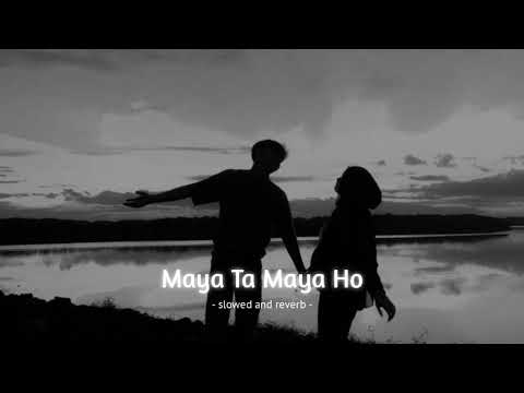 Maya Ta Maya Ho - Samir Shrestha X Bardan (slowed and reverb) |Music Beam|