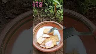 Download lagu Rio Biscuits cake 🎂 mp3 Download lagu Rio Biscuits cake 🎂 mp3