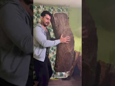 Apprendre à danser le zouk : conseils pour les débutants