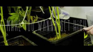 Krayzie Bone &quot;Make u wanna get high&quot;