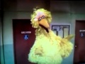 Sesame Street What S Your Name