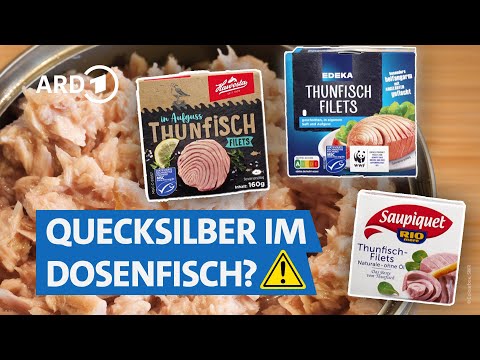 Thunfisch aus der Dose im Test 2025 – welcher ist am besten? | Marktcheck SWR
