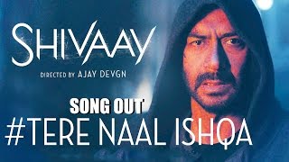 Tere Naal Ishqa Video Song Out | SHIVAAY | Kailash Kher | Ajay Devgn