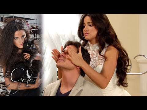 The Cat - Chapter 34: Pablo and Esmeralda prepare for their wedding! | Tlnovelas