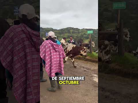 Feria ganadera en Icabuco de Úmbita Boyacá.