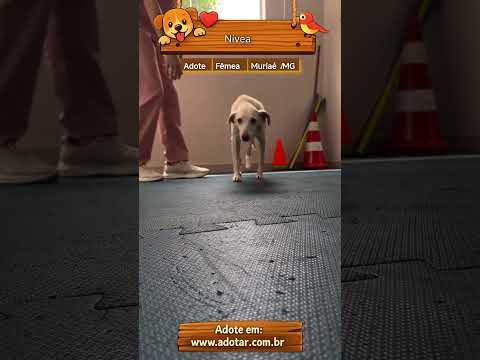 Vídeo de Nívea
