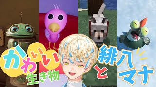 【癒し】可愛い生き物と緋八マナ【にじさんじ/切り抜き/緋八マナ】