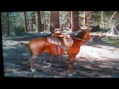 David Canary Bonanza