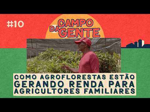 Assista ao Vídeo