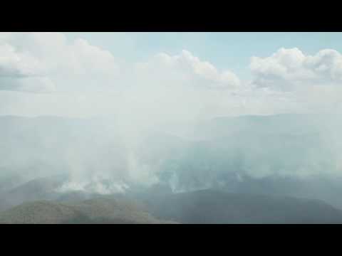 Blue Mountains of Australia: Bushfire Recovery 2020