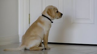 Miniature vidéo