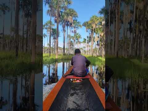 acesso para chegar mais rápido no rio preto-Mazagao-amapa #brasil #river #amazon